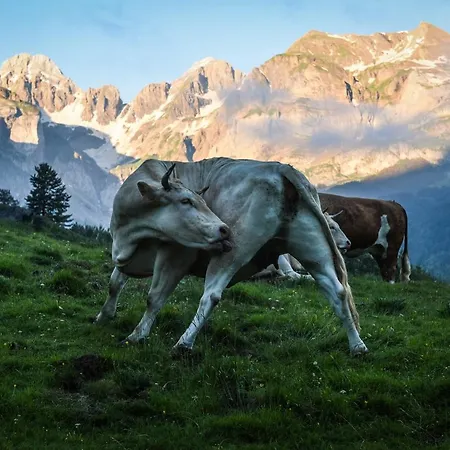 Tierra De